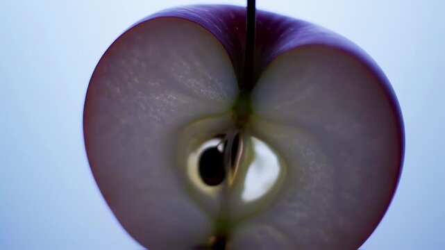 Close-up of a sliced apple