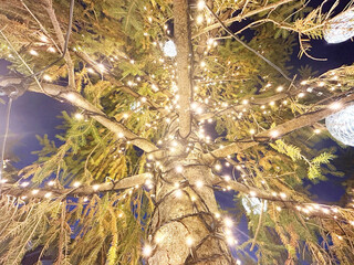 キラキラと輝くイルミネーション