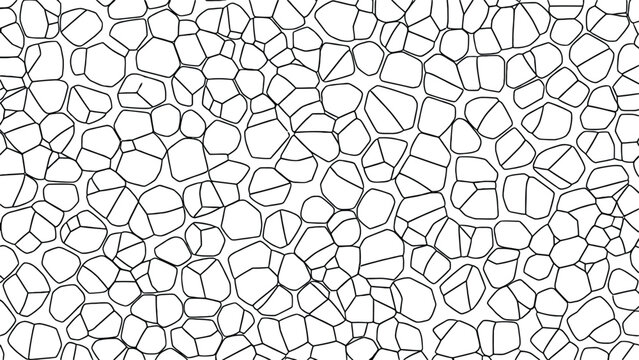 Microscopic view of a polycrystalline material's microstructure