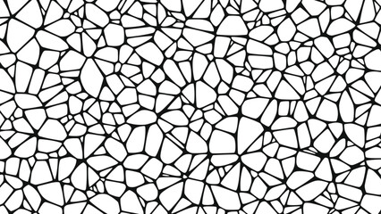 Black and white polygonal mosaic pattern with geometric shapes