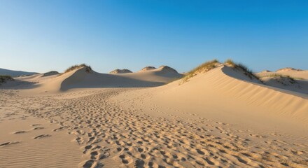 Vast sandy dunes under a clear sky.  Footprints on the surface