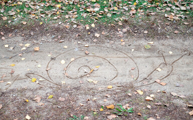 autumn leaves on the ground