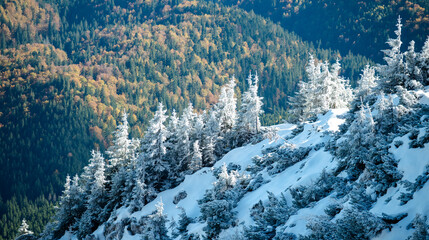winter mountain landscape