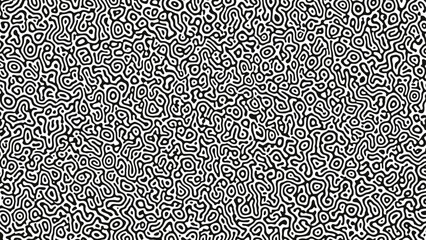 Black and white abstract image with intricate swirling patterns