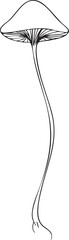 tiny young forest mushroom sprout drawn as a simple black vector outline with short stem and small cap