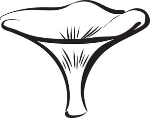  mushroom cross-section illustrated as a precise black vector outline showing cap interior and thick stem structure