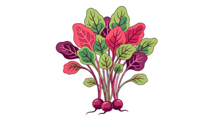 Tropical beet microgreen sprout isolated on clean white backdrop, fresh organic leafy shoot for healthy cuisine, botanical food ingredient concept, crisp detailed