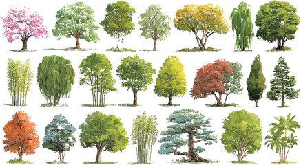 Vibrant assortment of colorful trees and bamboo plants, featuring diverse species and seasonal foliage in full bloom, autumnal hues, and lush green, presented against a bright white background © Pixel Park