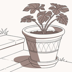 Rustic Terracotta Plant Pot Isolated on White, Garden Decor