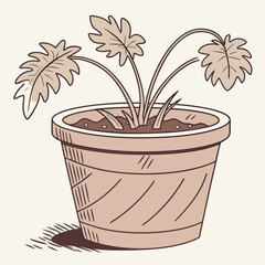 Rustic Terracotta Plant Pot Isolated on White, Garden Decor