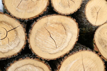 Close-up of stacked wooden logs showing growth rings and bark texture