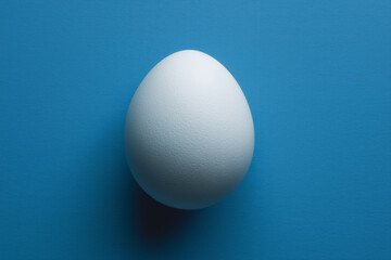 White egg on blue background with shadow