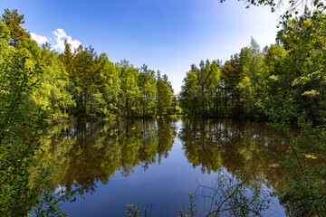 Mirror image in the Schwenninger Moos