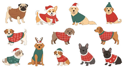 Obraz premium Group of different dog breeds like pugs, beagles, and bulldogs wearing festive red and green Christmas sweaters in vector art.