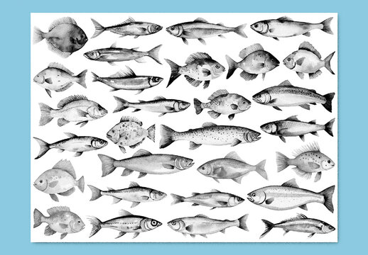 Vector watercolor painted style - fish clipart with stipple noise texture effect