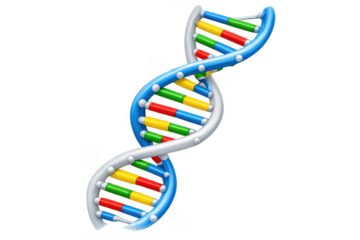 Dna double helix structure icon representing genetics, biology, medical science, cloning, and research on transparent background
