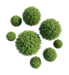 Lush greenery arrangement natural top view nature isolated on transparent background