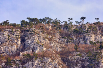 Mountain landscape in the Carpathian Mountains, Romania, Mehedinți, on a snowless winter day.