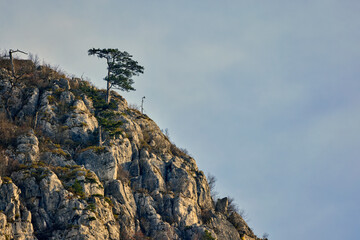 Mountain landscape in the Carpathian Mountains, Romania, Mehedinți, on a snowless winter day.