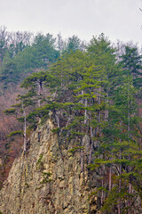 Mountain landscape in the Carpathian Mountains, Romania, Mehedinți, on a snowless winter day.