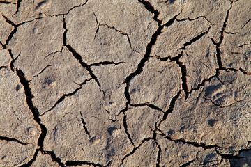 Fototapeta premium Climate warming dry chapped land