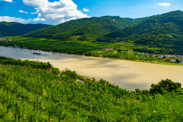 Obraz premium Vineyards and Donau river in Wachau valley Austria with autumn colored leaves, small traditional village and boats on sunny day. Traditional wine and tourism region,
