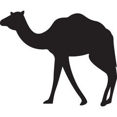 Shilhouete Camel