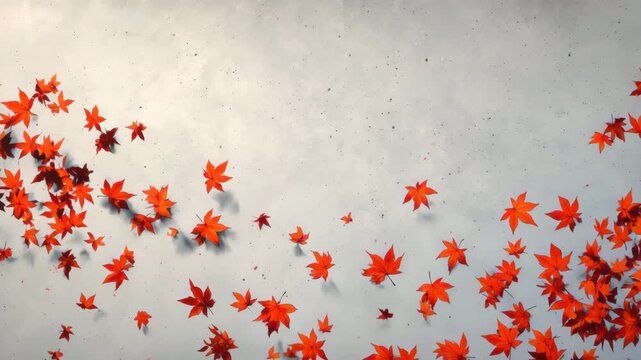 右上から朱と深紅のカエデが流れる高彩度の秋構図