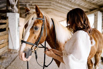 Woman adjusting bridle on calm brown horse inside rustic stable interior
