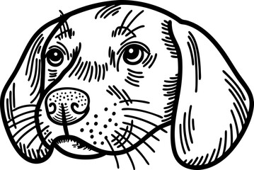 Close up black and white illustration of a dog head with detailed lines and shading