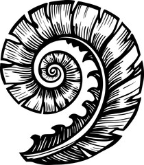 Intricate black and white spiral shell design with detailed line art and natural texture