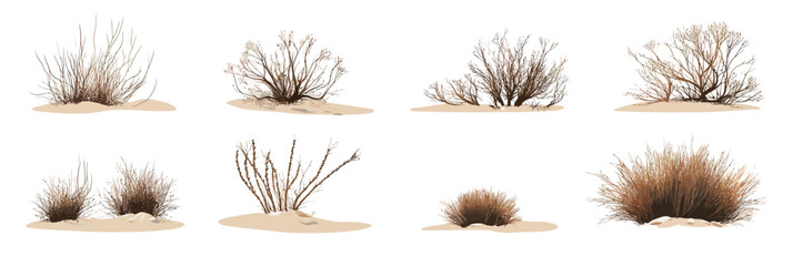 Set of western desert dry plants and bushes in sandy soil isolated on white background, realistic flat minimalist vector illustration of arid dead vegetation and tumble grass wilderness