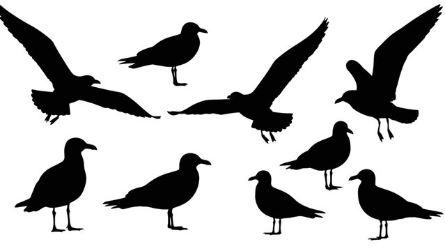 A collection of black silhouettes of seagulls in various poses, some flying and some standing.