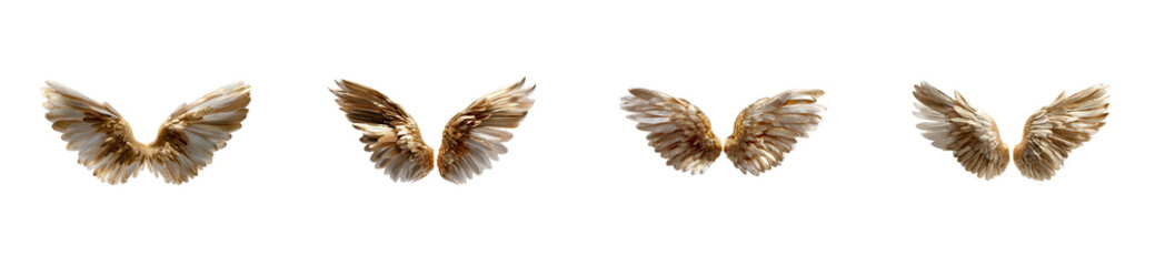 Obraz premium Ornate golden angelic wings elegantly depicted, showcasing spiritual elegance and divine grace, ideal for inspiring celestial themed presentations, premium branding, and luxurious