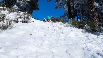 Child sledding down snowy hill in winter forest