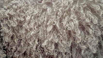 fluffy texture