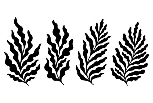 Tropical palm leaves and fern silhouette vector collection