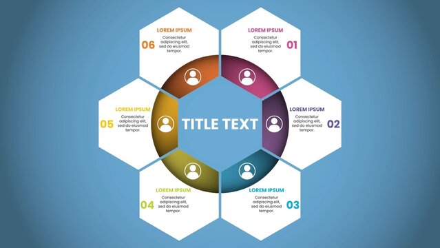 Segmented Hexagon Chart Data Visualiser