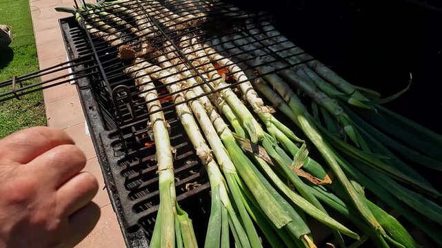 Traditional Catalan cal&ccedil;ots Grilling on an Outdoor Barbecue