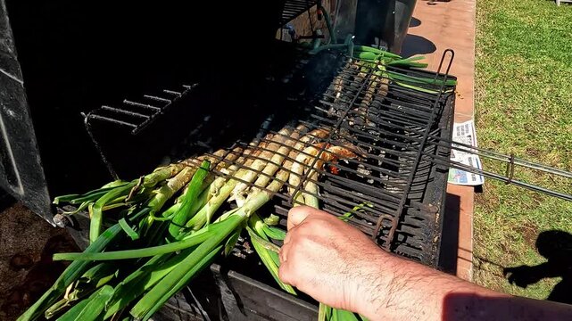 Traditional Catalan cal&ccedil;ots Grilling on an Outdoor Barbecue