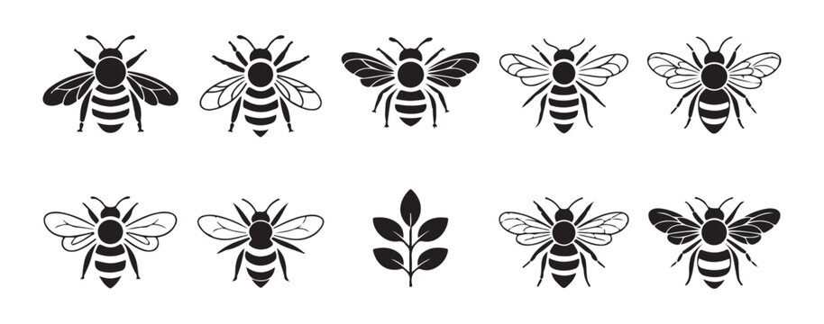 Collection of various honey bee illustrations in black silhouette and line art style with a leaf element
