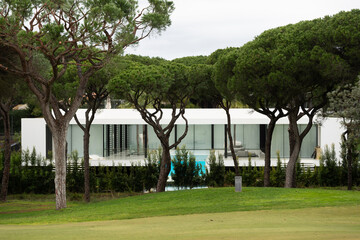 Obraz premium Golf course and trees in the light 