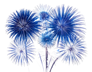 _This image captures elegant bursts of fireworks with cool blue and white tone
