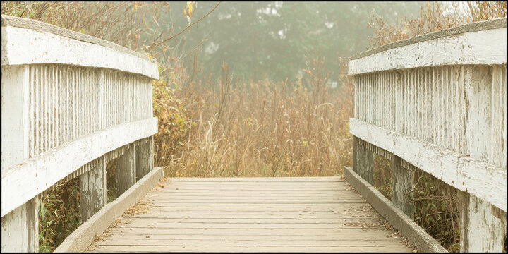 Rustic wooden bridge leading through a misty field, offering a quiet path into nature and tranquil autumn landscape - Powered by Adobe