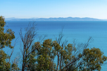 Eucalyptus au bord de la mer m&eacute;diterran&eacute;e en Tunisie
