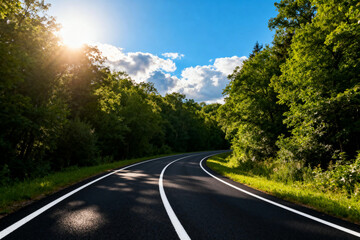 Sunlit Winding Road Through Lush Green Forest