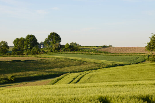 Feldlandschaft, Fr&uuml;hjahr