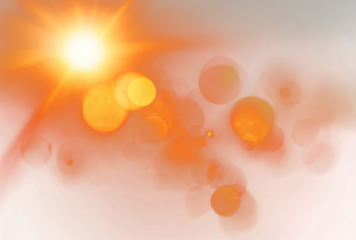 Five-Star Service Excellence: Navigating the Integrated Customer Shopping Journey