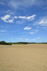 Fototapeta premium Feldlandschaft, Frühjahr