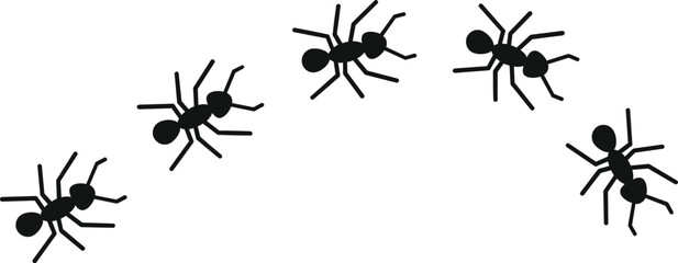 Black ant silhouettes forming a curved line, illustrating teamwork and organization